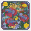 Pesquisar por peixes coloridos adesivos Qualquer pessoa