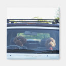 Pesquisar por partes do corpo imas Horizontal