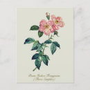 Pesquisar por feliz aniversario flores cartoes postais Floral