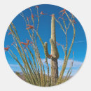 Pesquisar por arizona de tucson adesivos Saguaro