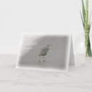 Pesquisar por birds cartoes Foto