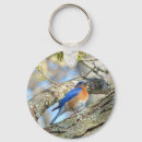 Pesquisar por bluebird chaveiros Natureza