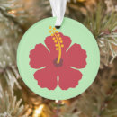 Pesquisar por hibisco ornamentos Verão