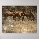 Pesquisar por cavalo do vintage pôsteres Fazenda