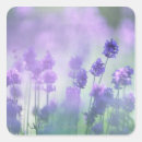 Pesquisar por horizontal adesivos Exterior