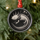 Pesquisar por salamandra ornamentos Anfíbio