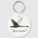 Pesquisar por cisne de trompetista Natureza