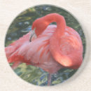 Pesquisar por cor de rosa do flamingo porta copos Pássaro