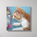 Pesquisar por gatinho impressão de canvas Bonito