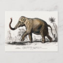 Pesquisar por vintage safari cartoes postais Elefante