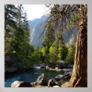 Pesquisar por árvores da sequóia artes pôsteres Parque nacional sequoia