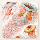 Pesquisar por biologia porta copos Ernst haeckel