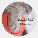 Pesquisar por basquete adesivos Gato