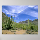 Pesquisar por organ pósteres pôsteres Paisagem