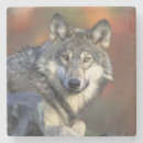 Pesquisar por wolf porta copos Pedra