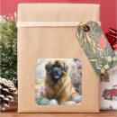 Pesquisar por feriado da páscoa adesivos Animal