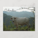 Pesquisar por colombia cartoes cartoes postais Colombiana