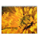 Pesquisar por pétala calendarios Rosa