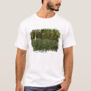 Pesquisar por bluebell camisetas Natureza
