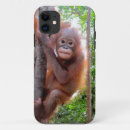 Pesquisar por selva capas Bonito