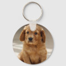 Pesquisar por puppy chaveiros Cães