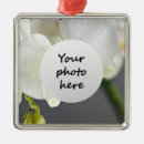 Pesquisar por orquídeas brancas ornamentos Branco