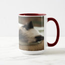 Pesquisar por sleepy canecas Gato