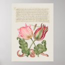 Pesquisar por botanical pôsteres Botânica