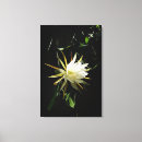 Pesquisar por bloom impressão de canvas Flor