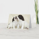 Pesquisar por spaniel de springer cartoes Cãozinho