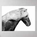 Pesquisar por equestre pósteres pôsteres Moderno