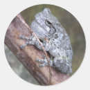 Pesquisar por animais noturnos adesivos Natureza