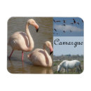 Pesquisar por do flamingo imas Branco