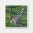 Pesquisar por lemurs Animais