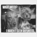 Pesquisar por erva daninha da mantas Sementes