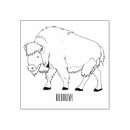 Pesquisar por canadá artesanato material América do norte