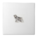 Pesquisar por cocker spaniels azulejos Cão