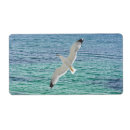 Pesquisar por gaivota etiquetas Mar