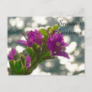 Pesquisar por bokeh cartoes postais Flores