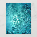 Pesquisar por oceano flyers Natureza