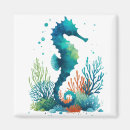 Pesquisar por do cavalo marinho imas Praia