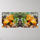 Pesquisar por cogumelos pósteres pôsteres For her