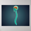Pesquisar por conexão humana pôsteres Coluna vertebral