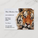 Pesquisar por tigre selvagem cartao de visita Gato grande