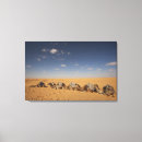 Pesquisar por camelo impressão de canvas África