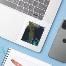 Pesquisar por satélites adesivos Ambiente