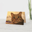 Pesquisar por merchbooth cartoes postais Photography