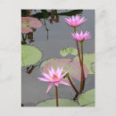 Pesquisar por ocasiões especiais cartoes postais Flores