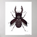 Pesquisar por surrealism pôsteres Abstract