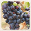 Pesquisar por videiras porta copos Vinho